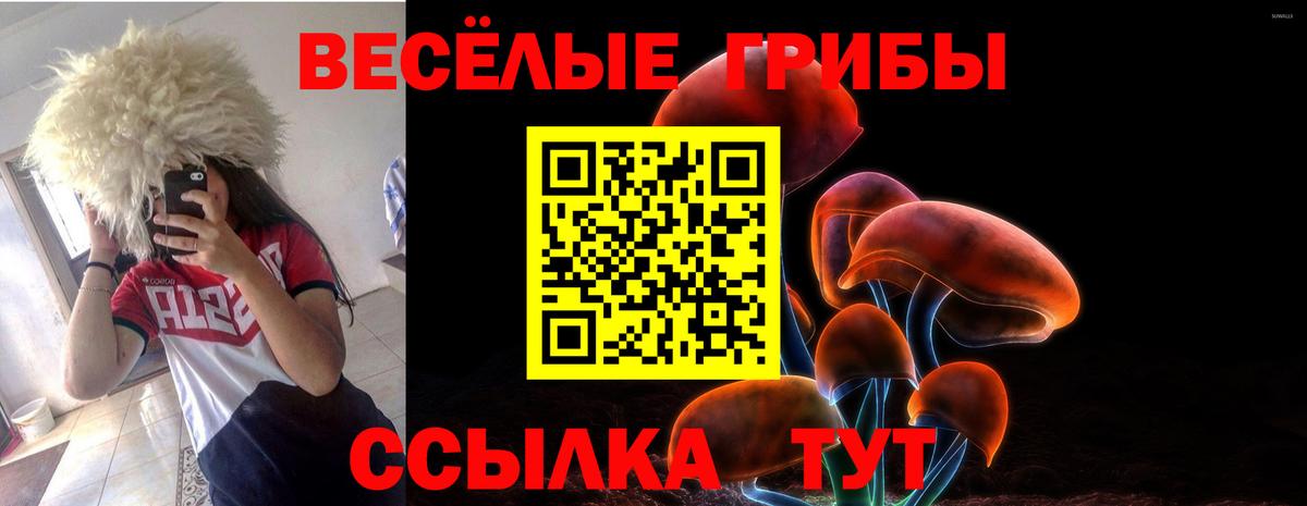 Галлюциногенные грибы GOLDEN TEACHER  Вход с VPN  Псилоцибиновые грибы GOLDEN TEACHER  Чайковский 